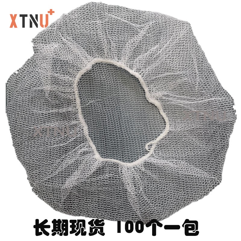 nylon hairnet2.jpg